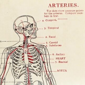 Science & Medicine