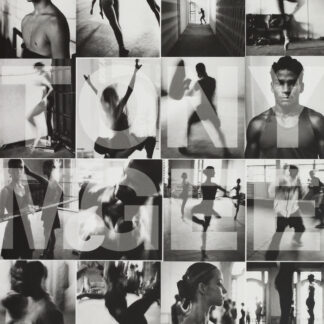 Tony McGee: Boxing Ballerinas, 2000
