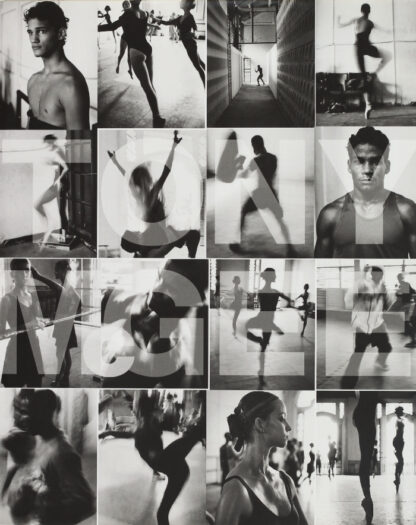 Tony McGee: Boxing Ballerinas, 2000