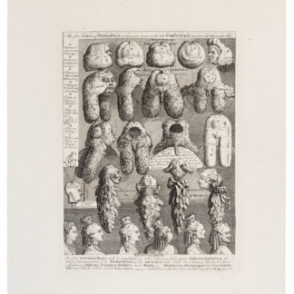 William Hogarth: 'The Five Orders of Perriwigs', '1761'